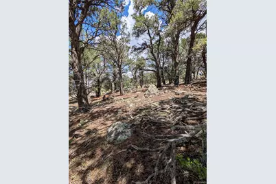 1240 Brookview Way, Crestone, CO 81131 - Photo 14