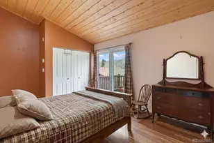 689 Divide S, Divide, CO 80814 - Photo 26