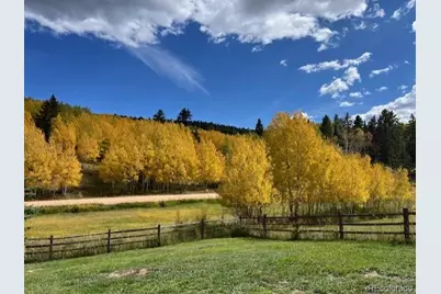 689 Divide South, Divide, CO 80814 - Photo 46
