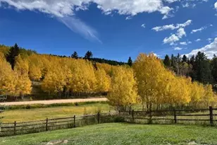689 Divide S, Divide, CO 80814 - Photo 46