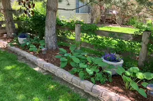 7463 Norfolk Pl, Castle Pines, CO 80108 - Photo 34