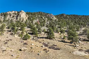 1354 Puma Hills Rd, Lake George, CO 80827 - Photo 1
