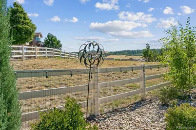 5894 Berry Ridge Way, Castle Rock, CO 80104 - Photo 48
