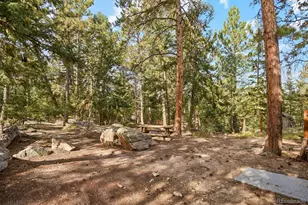 6374 Kenya Dr, Evergreen, CO 80439 - Photo 48