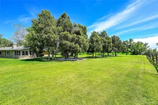 7800 Indiana St, Arvada, CO 80007 - Photo 6