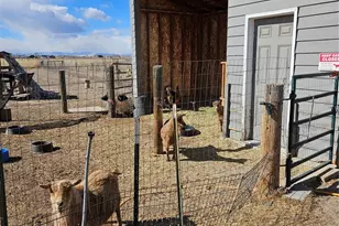 937 Snow Lake Ct, Watkins, CO 80137 - Photo 46