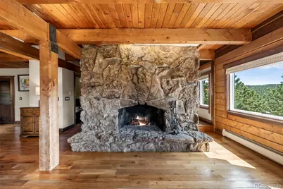 3890 S Sky Line Drive, Evergreen, CO 80439 - Photo 4
