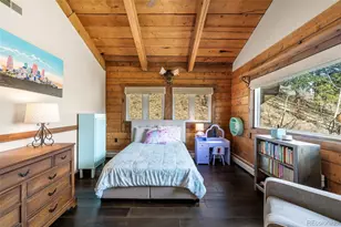 3890 S Skyline Dr, Evergreen, CO 80439 - Photo 20