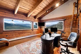 3890 S Skyline Dr, Evergreen, CO 80439 - Photo 14