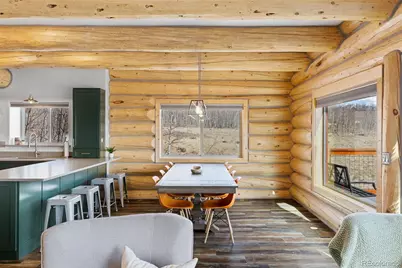 2542 High Creek Road, Fairplay, CO 80440 - Photo 8