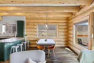 2542 High Creek Rd, Fairplay, CO 80440 - Photo 8