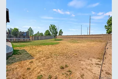 4833 Eckert Street, Castle Rock, CO 80104 - Photo 36