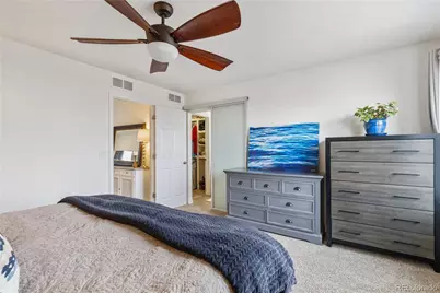 3133 Hardin Street, Castle Rock, CO 80109 - Photo 40