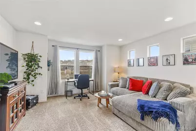 3133 Hardin Street, Castle Rock, CO 80109 - Photo 8