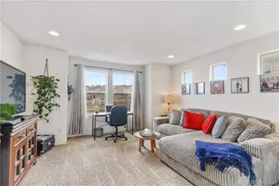 3133 Hardin St, Castle Rock, CO 80109 - Photo 8