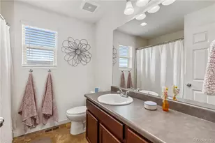 3133 Hardin St, Castle Rock, CO 80109 - Photo 12