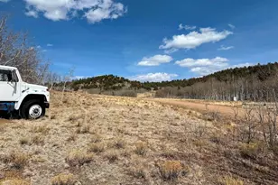 457 Caracara Ln, Jefferson, CO 80456 - Photo 4