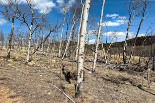 457 Caracara Ln, Jefferson, CO 80456 - Photo 8