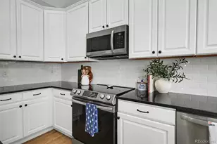 1070 Thornbury Pl, Highlands Ranch, CO 80129 - Photo 10