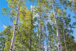 408 Stagecoach Ln, Bailey, CO 80421 - Photo 8