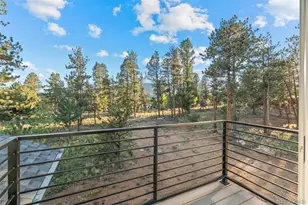 408 Stagecoach Ln, Bailey, CO 80421 - Photo 32