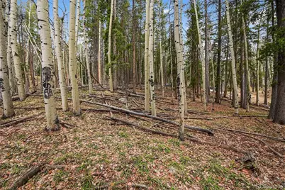 Ute Trail, Evergreen, CO 80439 - Photo 4