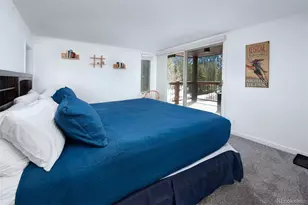 352 Wild Irishman Rd, Keystone, CO 80435 - Photo 18