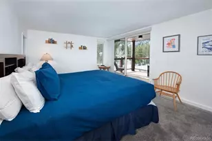 352 Wild Irishman Rd, Keystone, CO 80435 - Photo 16