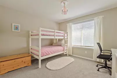 9917 Hawthorne Street, Highlands Ranch, CO 80126 - Photo 22