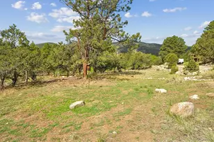18220 Alta Vista Dr, Buena Vista, CO 81211 - Photo 48