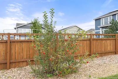 3021 Leafdale Drive, Castle Rock, CO 80109 - Photo 40