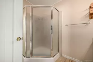 9024 Madeleine St, Denver, CO 80260 - Photo 26