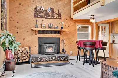 11182 S Barney Gulch Road, Conifer, CO 80433 - Photo 18