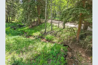 11182 S Barney Gulch Road, Conifer, CO 80433 - Photo 48
