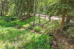 11182 S Barney Gulch Rd, Conifer, CO 80433 - Photo 48