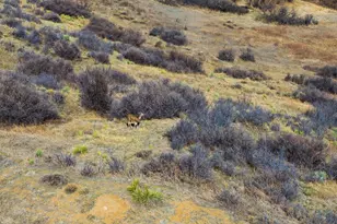 21764 Silver Meadow Ln, Parker, CO 80138 - Photo 28