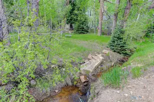 222 Eureka St, Central City, CO 80427 - Photo 4
