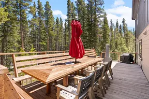 400 Upper Forest Rd, Idaho Springs, CO 80452 - Photo 16