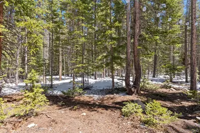 400 Upper Forest Road, Idaho Springs, CO 80452 - Photo 20