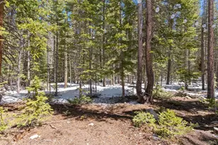 400 Upper Forest Rd, Idaho Springs, CO 80452 - Photo 20