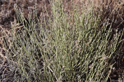 Tracts 31 & 32 Lane F, Blanca, CO 81123 - Photo 18