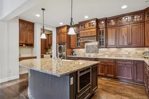 2065 Primo Road, Highlands Ranch, CO 80129 - Photo 8