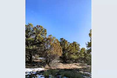 4229 Radiant, Crestone, CO 81131 - Photo 8