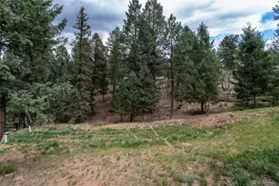 1427 N Mountain Estates Rd, Florissant, CO 80816 - Photo 32