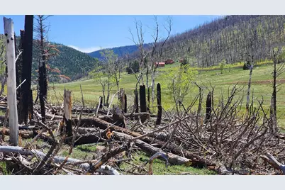 2334 Wohlstetter Loop, Fort Garland, CO 81133 - Photo 4