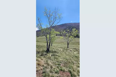 2334 Wohlstetter Loop, Fort Garland, CO 81133 - Photo 12