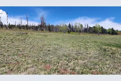 2334 Wohlstetter Loop, Fort Garland, CO 81133 - Photo 8