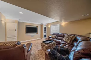 10811 Chadsworth Point, Highlands Ranch, CO 80126 - Photo 36