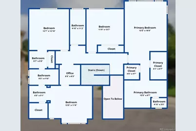 10811 Chadsworth Point, Highlands Ranch, CO 80126 - Photo 48