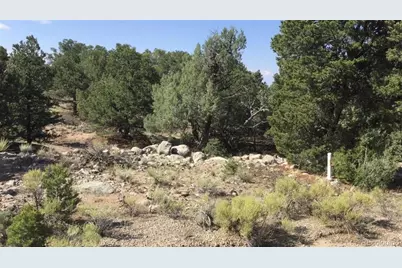3514 Forest Trail Overlook, Crestone, CO 81131 - Photo 6